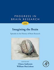 Imagining the Brain