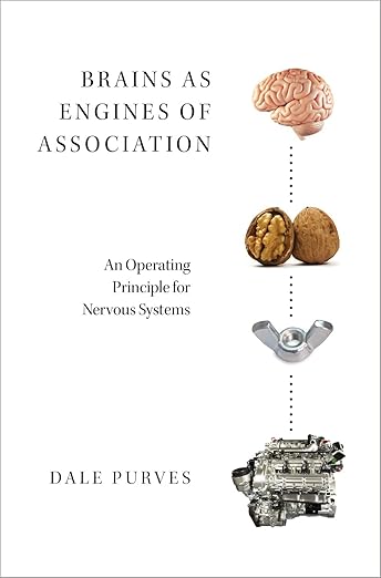 Brains As Engines of Association
