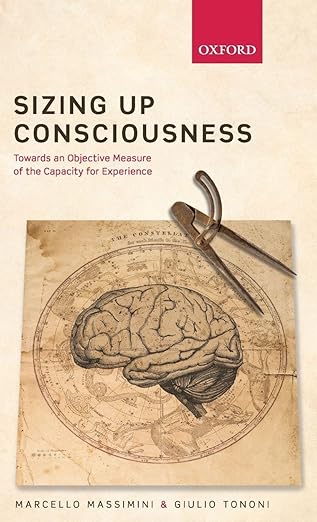 Sizing Up Consciousness: Towards an Objective Measure of the Capacity for Experience
