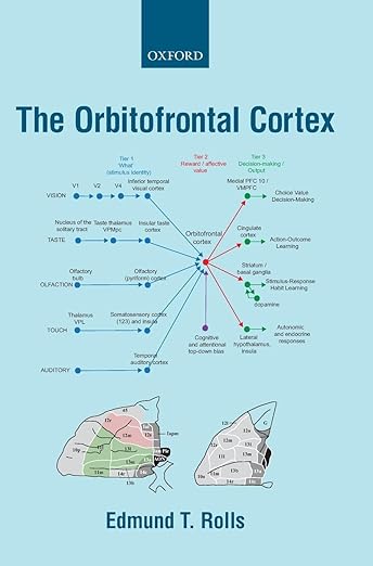 Orbitofrontal Cortex