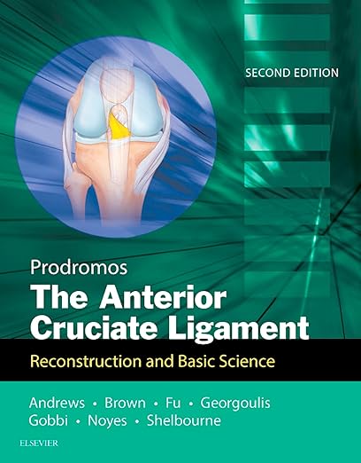 Anterior Cruciate Ligament