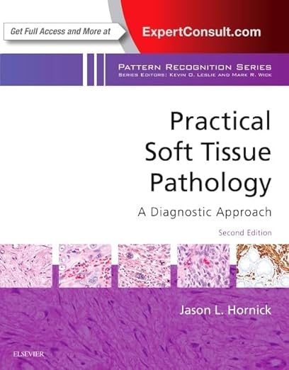 Practical Soft Tissue Pathology : a Diagnostic Approach