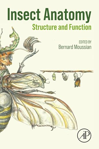 Insect Anatomy