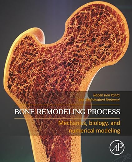 Bone Remodelling Process