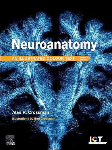 Neuroanatomy