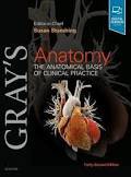 Gray's Anatomy