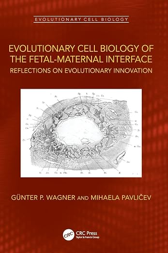 Evolutionary Cell Biology of the Fetal-maternal Interface: Reflections on Evolutionary Innovation
