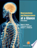 Neuroanatomy and Neuroscience at a Glance