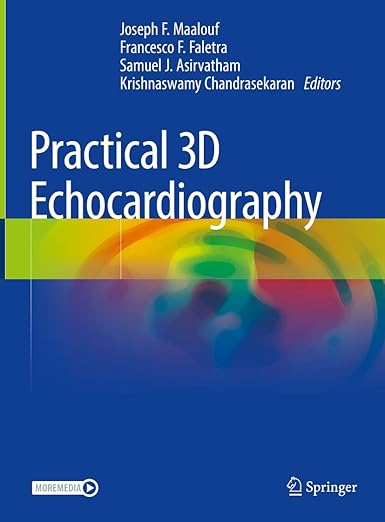 Practical 3D Echocardiography